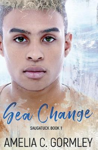 Knjiga Sea Change Amelia C Gormley