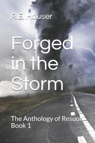 Книга Forged in the Storm R E Houser