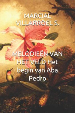 Kniha Melodie Marcial Villarroel S