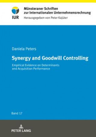 Libro Synergy and Goodwill Controlling Daniela Peters