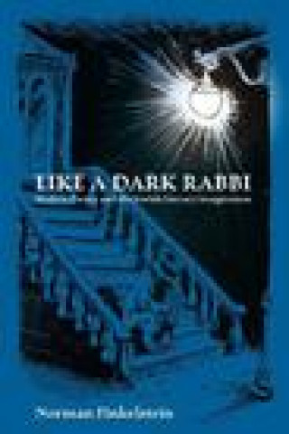 Könyv Like a Dark Rabbi Norman Finkelstein