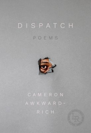 Book Dispatch Cameron Awkward-Rich