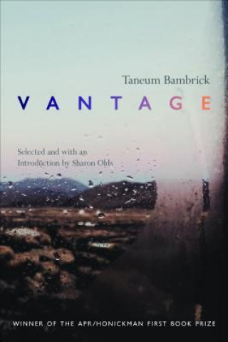 Kniha Vantage Taneum Bambrick