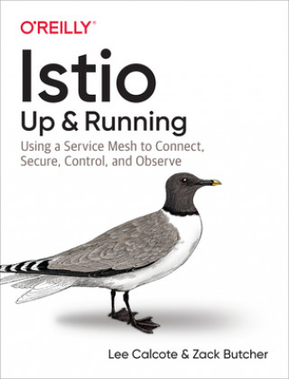 Книга Istio: Up and Running Lee Calcote