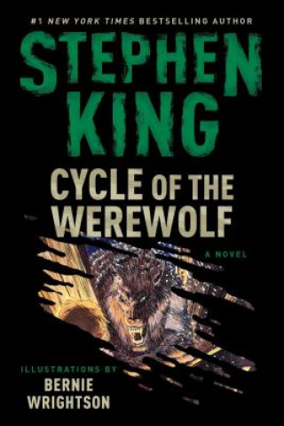 Kniha Cycle of the Werewolf Stephen King