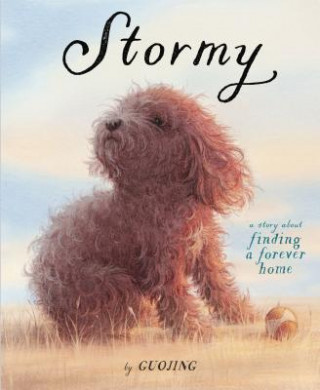 Kniha Stormy Guojing