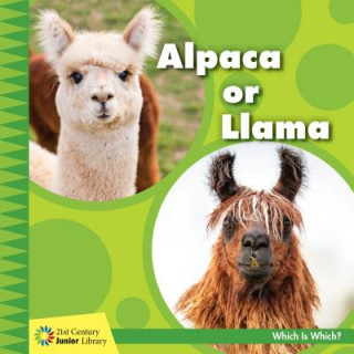 Könyv Alpaca or Llama Tamra Orr