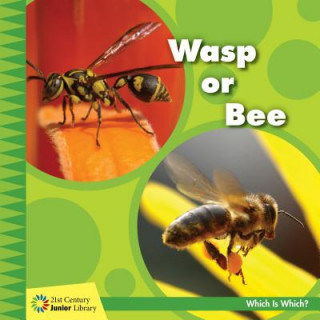 Book Wasp or Bee Tamra Orr