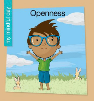 Knjiga Openness Katie Marsico