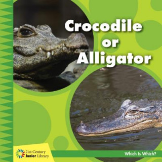 Book Crocodile or Alligator Tamra Orr