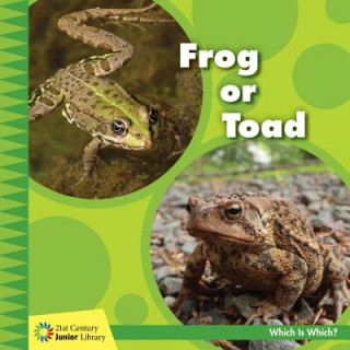 Książka Frog or Toad Tamra Orr