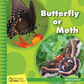 Knjiga Butterfly or Moth Tamra Orr