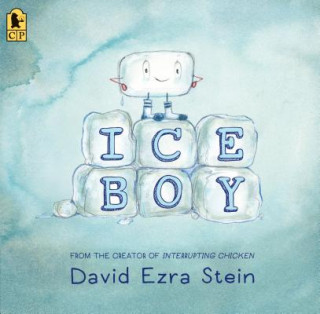Könyv Ice Boy David Ezra Stein