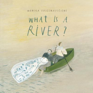 Книга What Is A River? Vaicenavi&