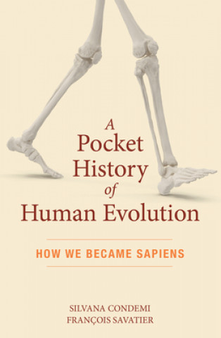 Carte Pocket History of Human Evolution Silvana Condemi