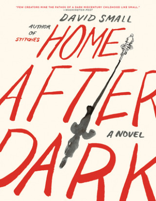 Könyv Home After Dark David Small