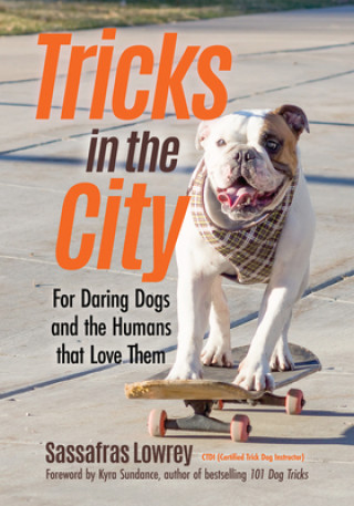 Kniha Tricks in the City Sassafras Lowrey