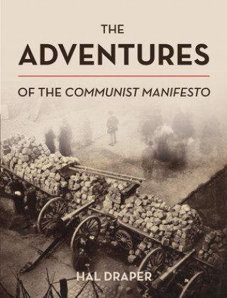 Kniha Adventures of The Communist Manifesto Hal Draper