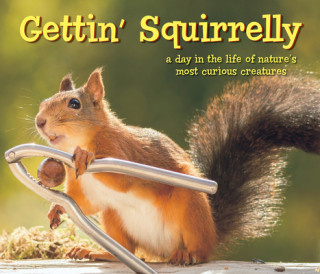 Buch Gettin Squirrelly Hardcover Gift Book Willow Creek Press