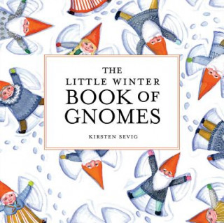 Könyv Little Winter Book of Gnomes Kirsten Sevig
