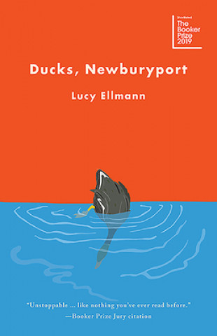 Книга Ducks, Newburyport Lucy Ellmann