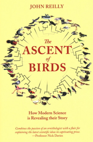 Kniha Ascent of Birds John Reilly