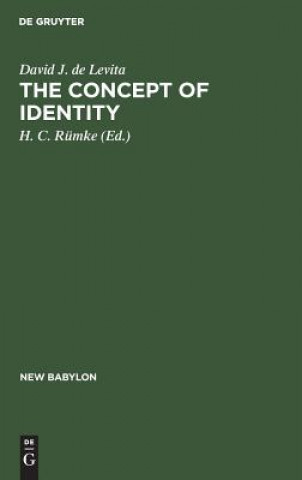 Knjiga concept of identity David J. de Levita