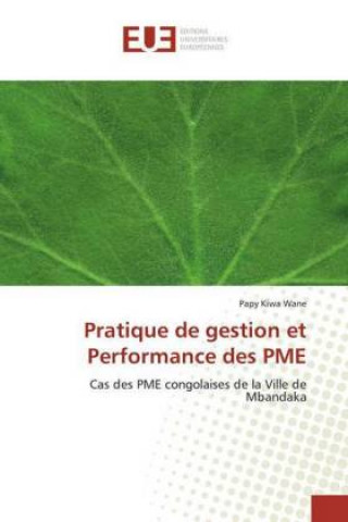 Kniha Pratique de gestion et Performance des PME Papy Kiwa Wane