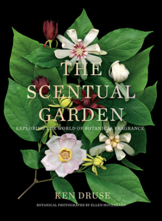 Książka Scentual Garden: Exploring the World of Botanical Fragrance Ken Druse