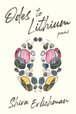 Könyv Odes to Lithium Shira Erlichman