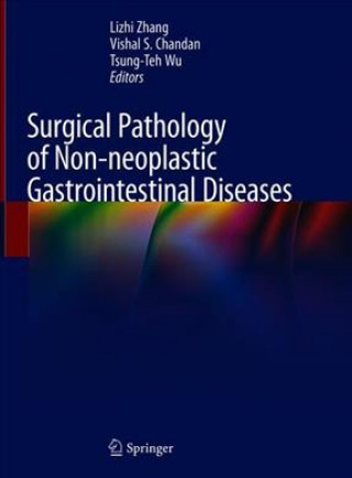 Kniha Surgical Pathology of Non-neoplastic Gastrointestinal Diseases Lizhi Zhang