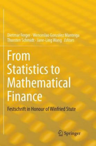 Kniha From Statistics to Mathematical Finance Dietmar Ferger