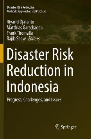 Knjiga Disaster Risk Reduction in Indonesia Riyanti Djalante