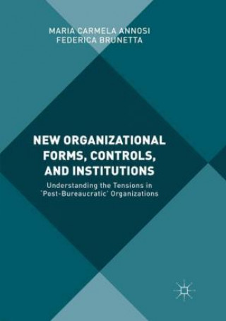 Buch New Organizational Forms, Controls, and Institutions Maria Carmela Annosi