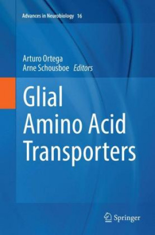 Kniha Glial Amino Acid Transporters Arturo Ortega