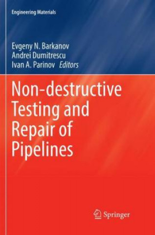Könyv Non-destructive Testing and Repair of Pipelines Evgeny N. Barkanov