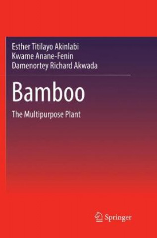 Книга Bamboo Esther Titilayo Akinlabi