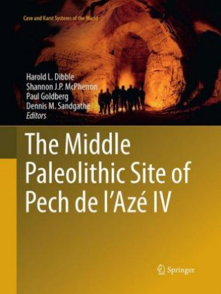 Kniha Middle Paleolithic Site of Pech de l'Aze IV Harold L. Dibble