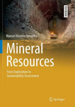 Könyv Mineral Resources Manuel Bustillo Revuelta