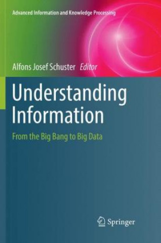 Buch Understanding Information Alfons Josef Schuster