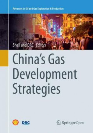 Book China's Gas Development Strategies Shell International Ltd