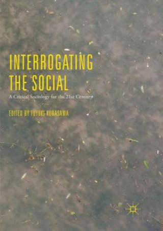 Livre Interrogating the Social Fuyuki Kurasawa