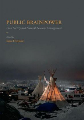 Kniha Public Brainpower Indra Overland