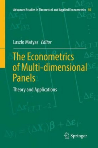 Kniha Econometrics of Multi-dimensional Panels Laszlo Matyas