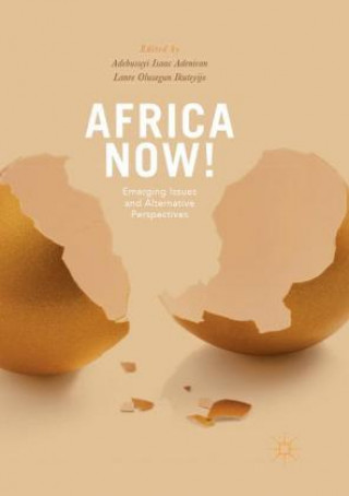 Książka Africa Now! Adebusuyi Adeniran