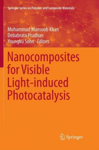 Kniha Nanocomposites for Visible Light-induced Photocatalysis Mohammad Mansoob Khan