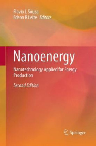 Könyv Nanoenergy Edson R Leite