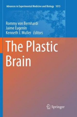 Buch Plastic Brain Rommy von Bernhardi