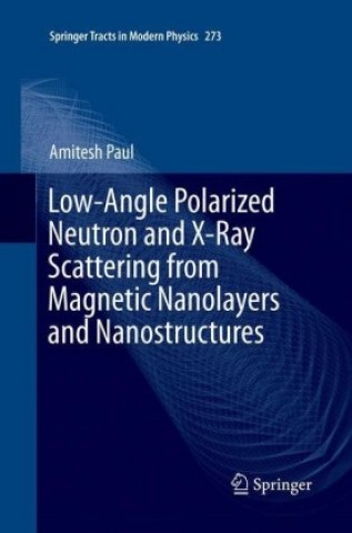 Buch Low-Angle Polarized Neutron and X-Ray Scattering from Magnetic Nanolayers and Nanostructures Amitesh Paul