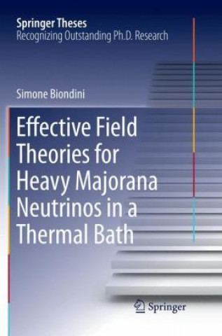 Kniha Effective Field Theories for Heavy Majorana Neutrinos in a Thermal Bath Simone Biondini